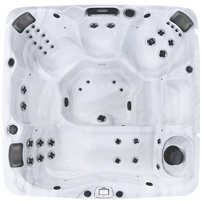 Avalon-X EC-840LX hot tubs for sale in Evans